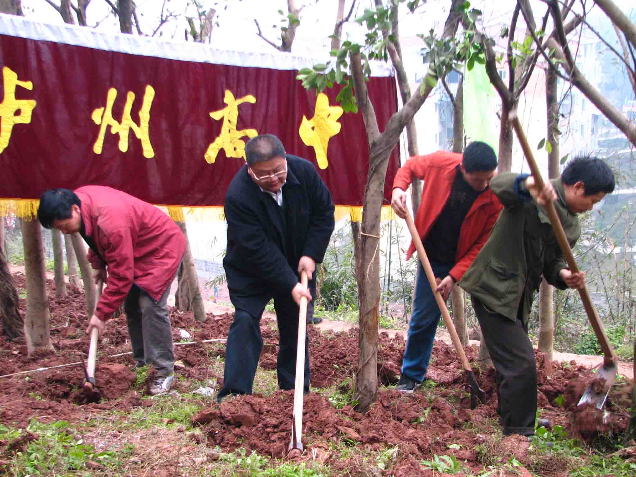 點(diǎn)擊查看原圖