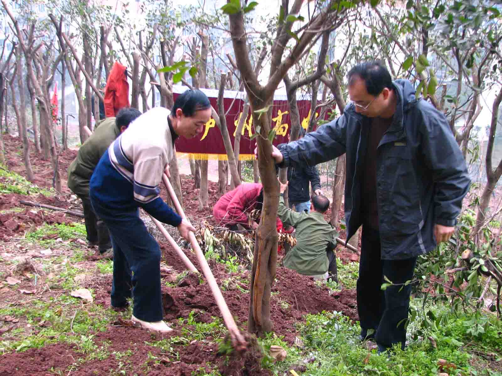 點(diǎn)擊查看原圖